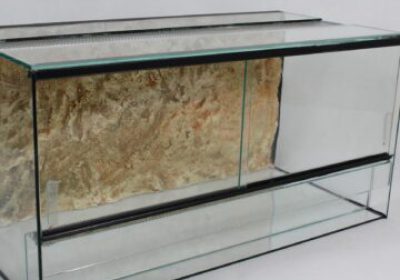 IMG_3972-scaled-360x360