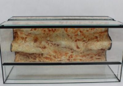 IMG_3982-scaled-360x360